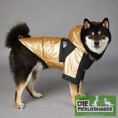 Wind- und regendichte Regenmantel-Shelljacke für große Hunde - Hunde und Katzenkleidung