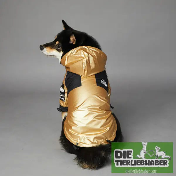 Wind- und regendichte Regenmantel-Shelljacke für große Hunde - Hunde und Katzenkleidung