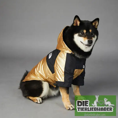 Wind- und regendichte Regenmantel-Shelljacke für große Hunde - Hunde und Katzenkleidung