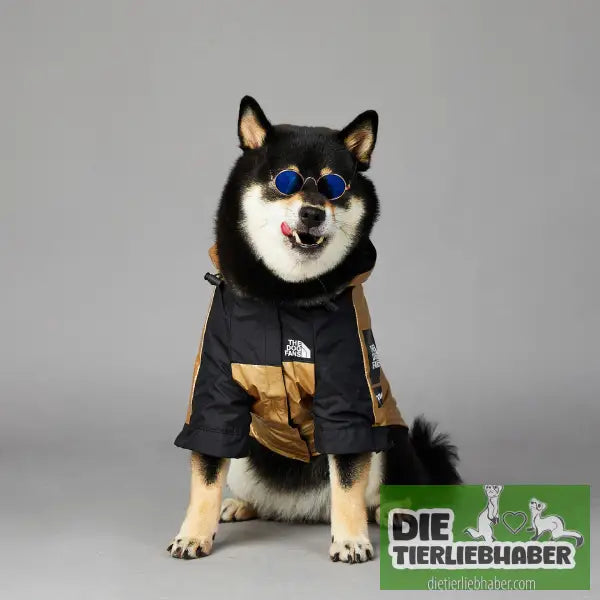 Wind- und regendichte Regenmantel-Shelljacke für große Hunde - Hunde und Katzenkleidung