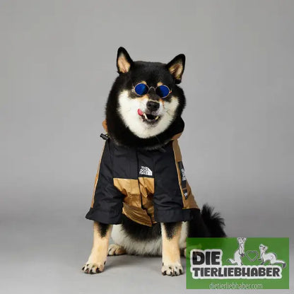 Wind- und regendichte Regenmantel-Shelljacke für große Hunde - Hunde und Katzenkleidung