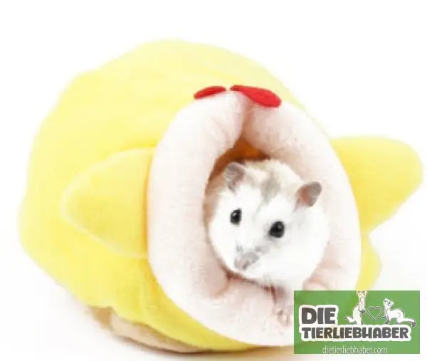 Winter-Schlafhaus aus Baumwolle - S / Random / Baby chicken - Haustierbedarf