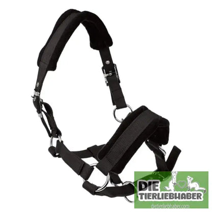 Zaumzeug mit gepolsterter Metallöse und Schnalle - Alles Rund ums Pferd