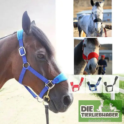 Zaumzeug mit gepolsterter Metallöse und Schnalle - Alles Rund ums Pferd