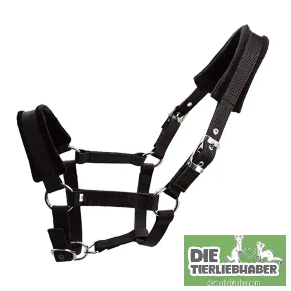 Zaumzeug mit gepolsterter Metallöse und Schnalle - Black / L - Alles Rund ums Pferd