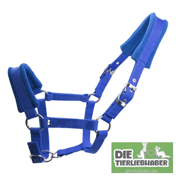Zaumzeug mit gepolsterter Metallöse und Schnalle - Blue / L - Alles Rund ums Pferd