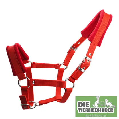 Zaumzeug mit gepolsterter Metallöse und Schnalle - Red / L - Alles Rund ums Pferd
