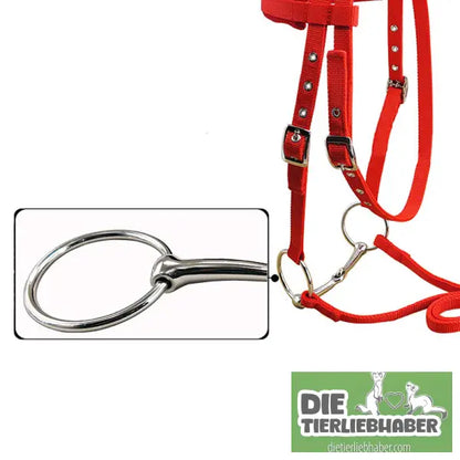 Zügel & Zaumzeug für Pferde - Alles Rund ums Pferd