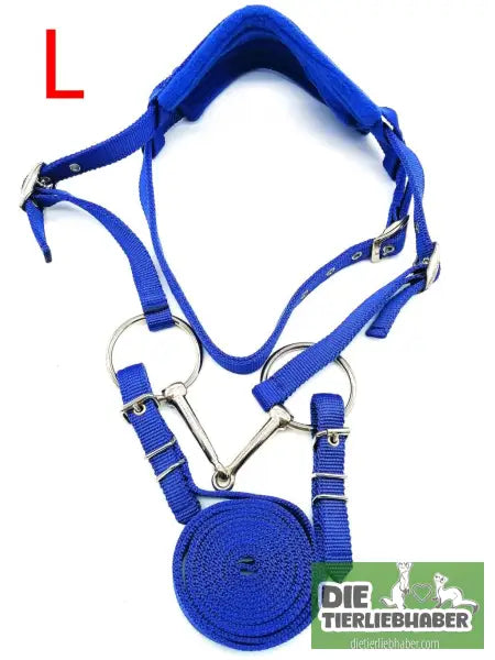 Zügel & Zaumzeug für Pferde - Alles Rund ums Pferd