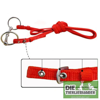 Zügel & Zaumzeug für Pferde - Alles Rund ums Pferd