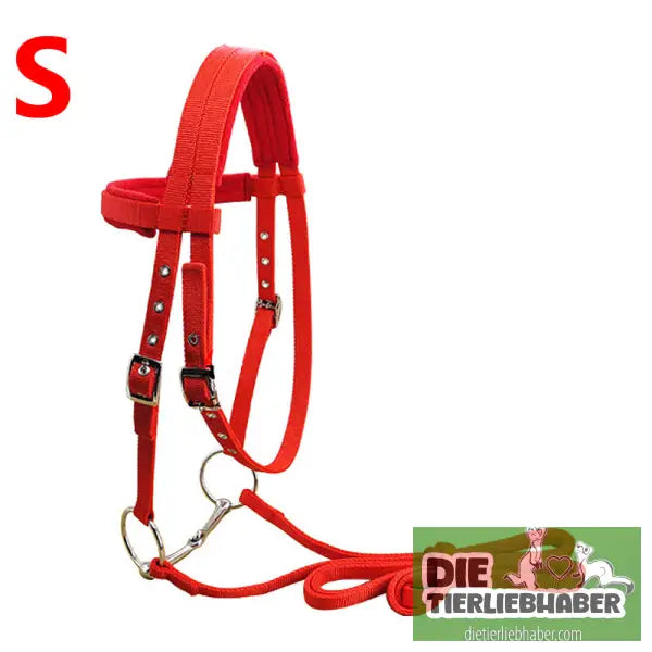 Zügel & Zaumzeug für Pferde - Alles Rund ums Pferd