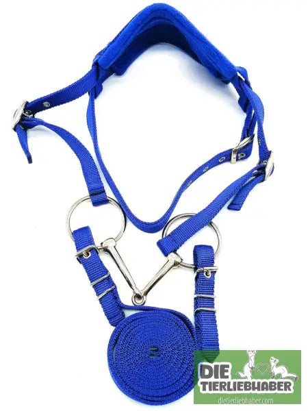 Zügel & Zaumzeug für Pferde - Blau / L - Alles Rund ums Pferd