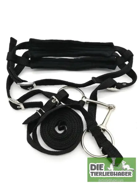 Zügel & Zaumzeug für Pferde - Schwarz / L - Alles Rund ums Pferd
