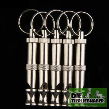Zweiton-Ultraschall-Hundepfeife gegen Bellen - Silver - Training