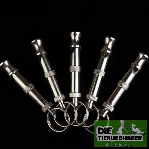 Zweiton-Ultraschall-Hundepfeife gegen Bellen - Silver - Training